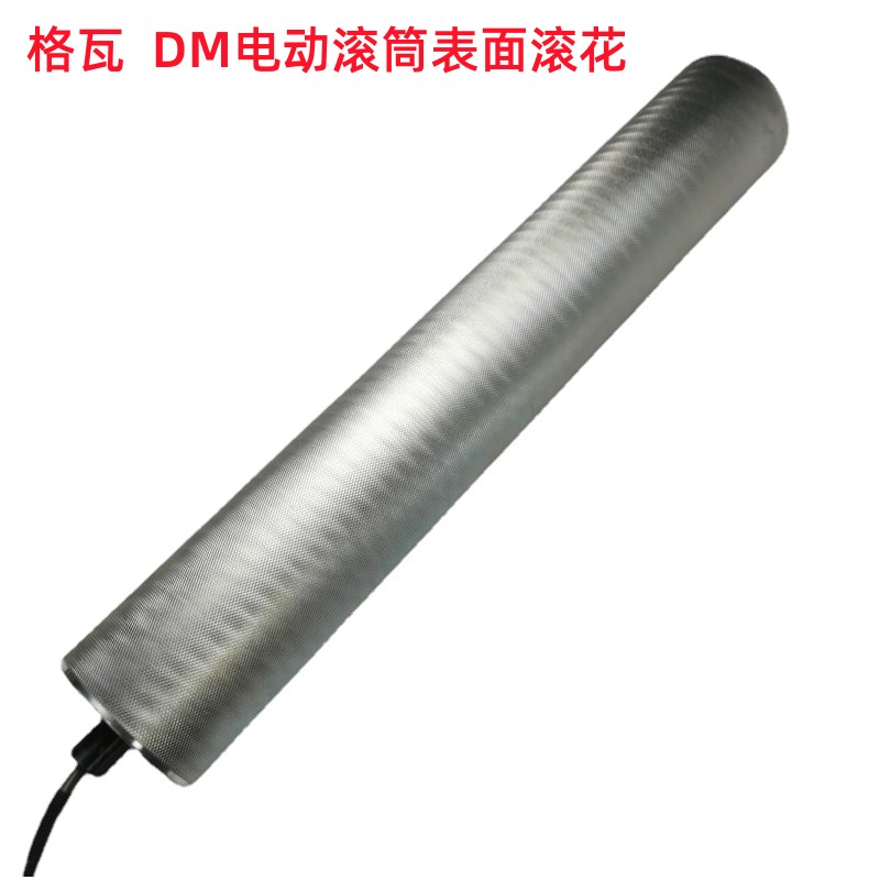 DM102電動輥筒